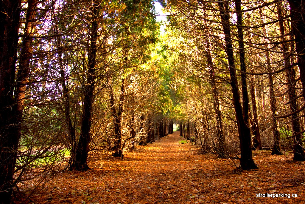 The Arboretum StrollerParking