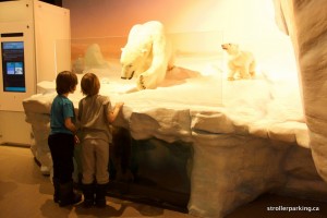 Ottawa-Canadian Museum of Nature